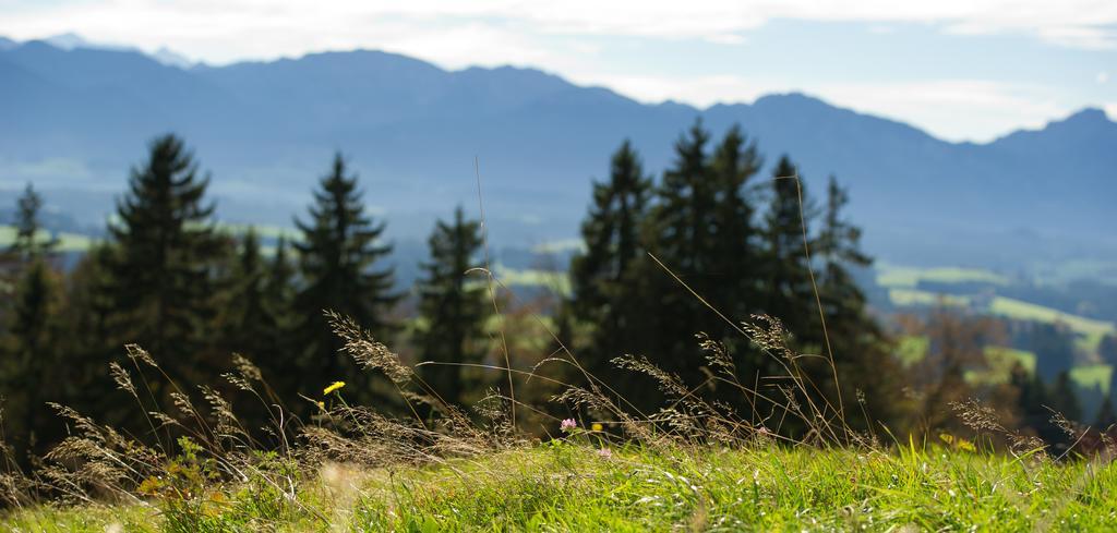 Panoramagasthof Auf Dem Auerberg Bernbeuren Exterior foto
